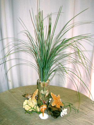 Ocean/Beach Theme Centerpiece